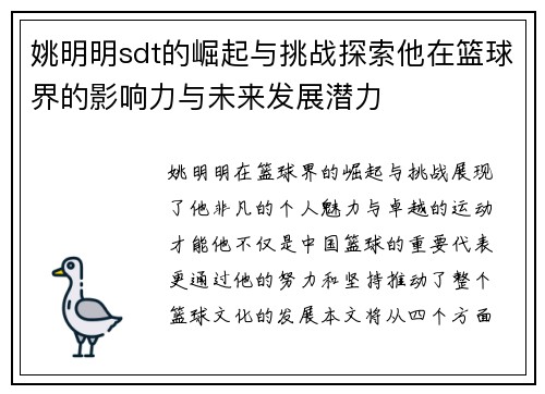 姚明明sdt的崛起与挑战探索他在篮球界的影响力与未来发展潜力