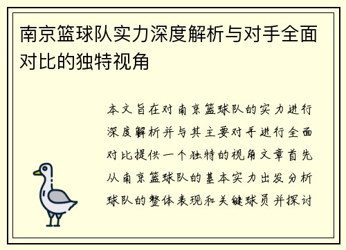 南京篮球队实力深度解析与对手全面对比的独特视角